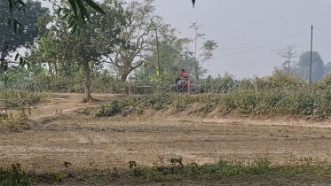 বিএসএফের কাঁটাতারের বেড়া নির্মাণের কাজ বন্ধ করে দিয়েছে বিজিবি 